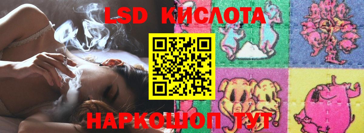 Губкинский  Лсд 25 экстази  Вход с VPN  Лсд 25 экстази ecstasy  LSD-25 экстази кислота 