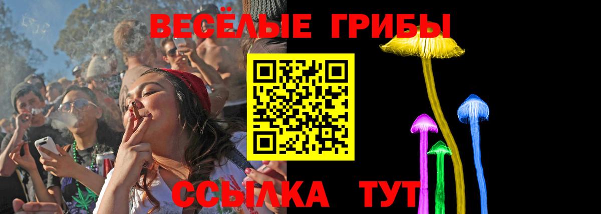Псилоцибиновые грибы Psilocybine cubensis  Вход с VPN  Галлюциногенные грибы GOLDEN TEACHER  купить наркоту  Губкинский 